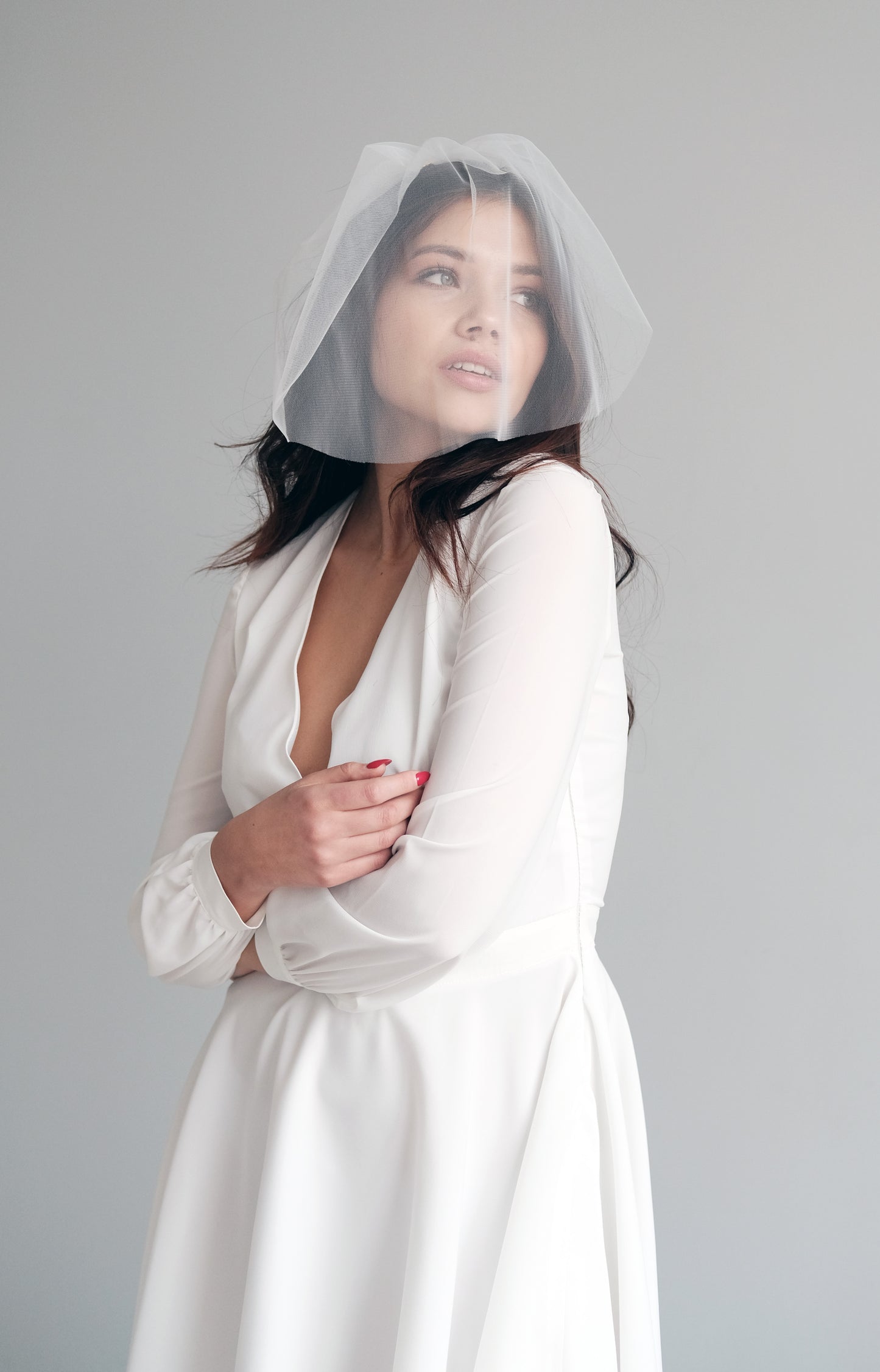 Birdcage veil