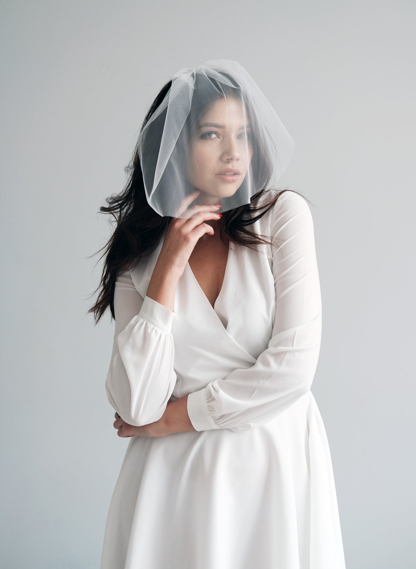 Birdcage veil