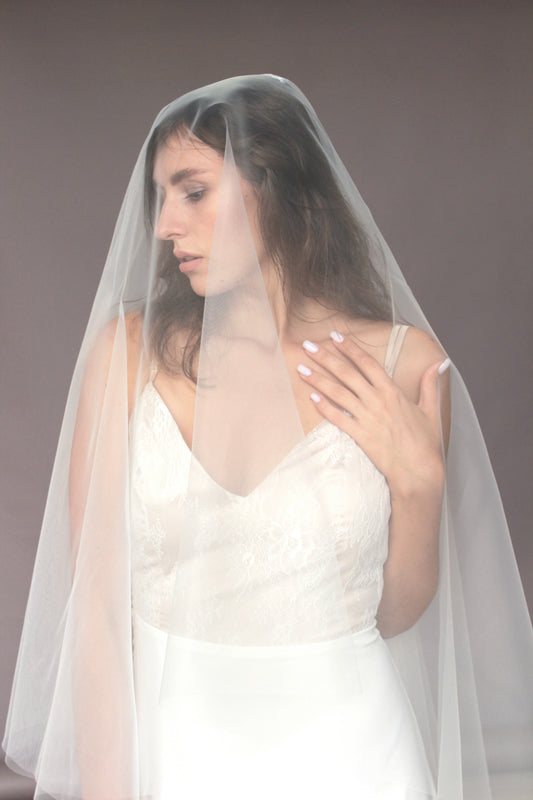 Veil with a blusher